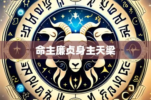 命主廉贞身主天梁