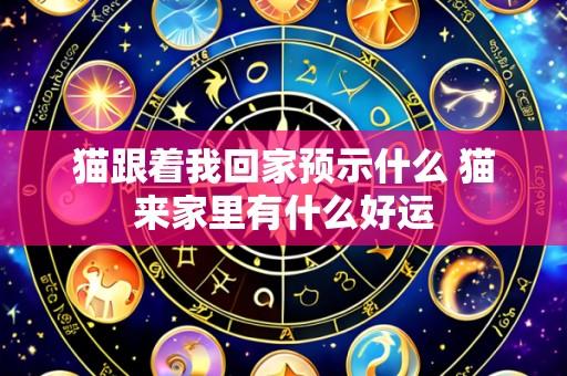 猫跟着我回家预示什么 猫来家里有什么好运