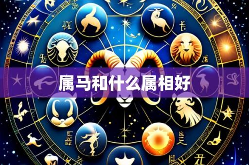 属马和什么属相好