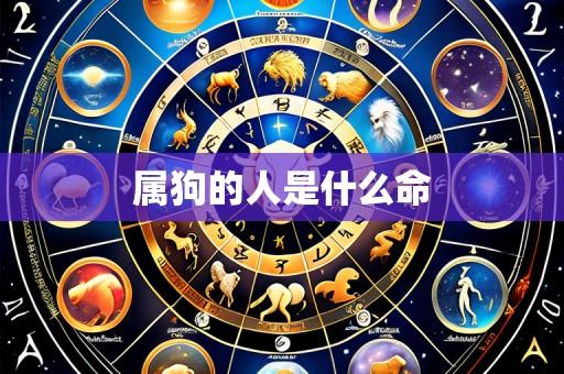 属狗的人是什么命