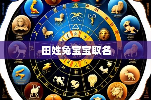 田姓兔宝宝取名
