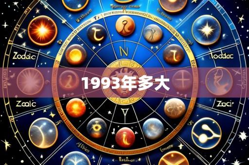1993年多大