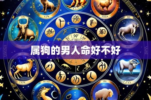 属狗的男人命好不好