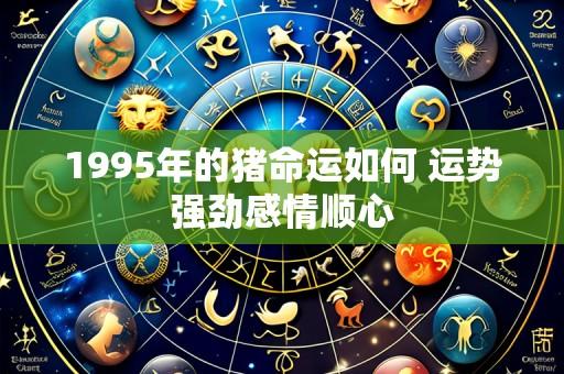 1995年的猪命运如何 运势强劲感情顺心