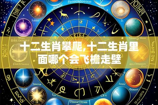 十二生肖攀爬,十二生肖里面哪个会飞檐走壁