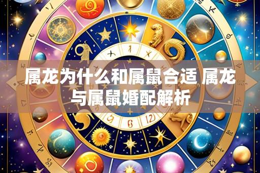属龙为什么和属鼠合适 属龙与属鼠婚配解析