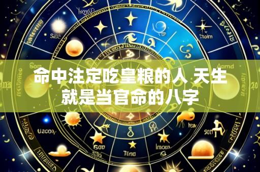 命中注定吃皇粮的人 天生就是当官命的八字