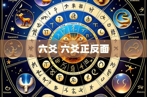 六爻 六爻正反面