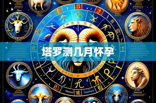 塔罗测几月怀孕
