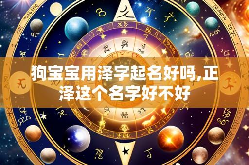 狗宝宝用泽字起名好吗,正泽这个名字好不好