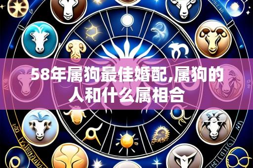 58年属狗最佳婚配,属狗的人和什么属相合