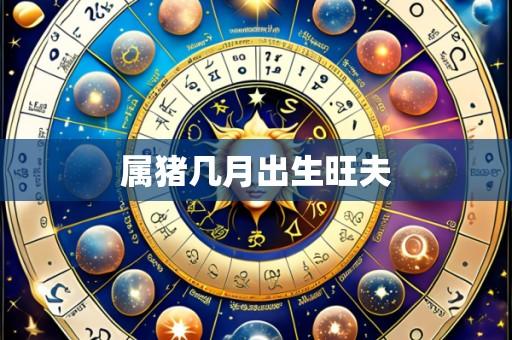 属猪几月出生旺夫