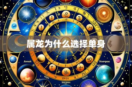 属龙为什么选择单身