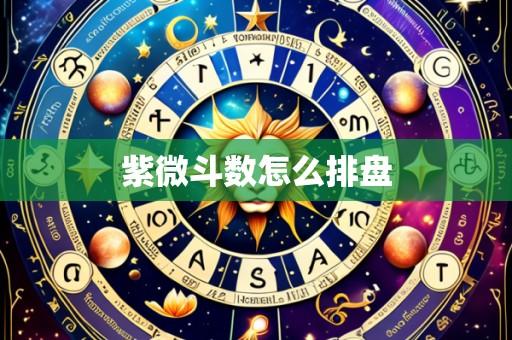 紫微斗数怎么排盘