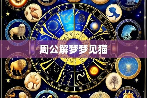 周公解梦梦见猫