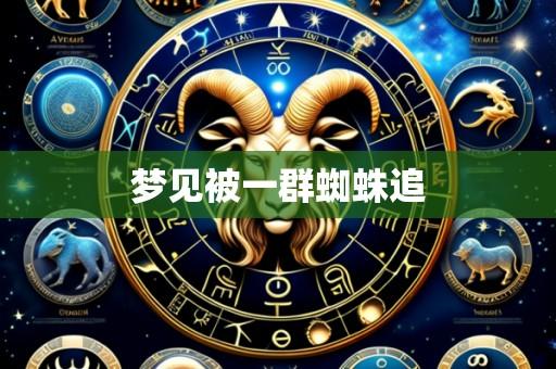 梦见被一群蜘蛛追