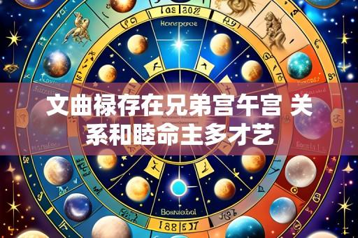 文曲禄存在兄弟宫午宫 关系和睦命主多才艺