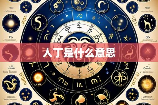 人丁是什么意思