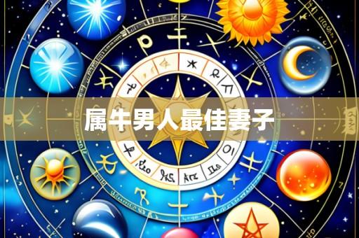 属牛男人最佳妻子