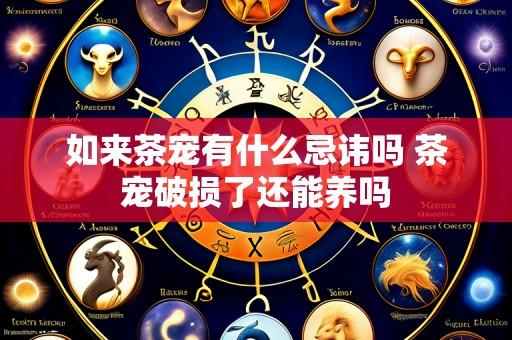 如来茶宠有什么忌讳吗 茶宠破损了还能养吗
