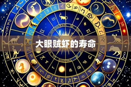 大眼贼虾的寿命