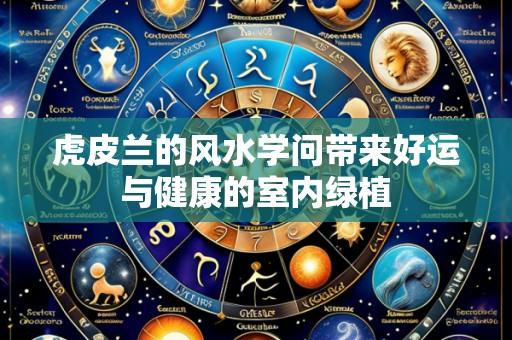 虎皮兰的风水学问带来好运与健康的室内绿植
