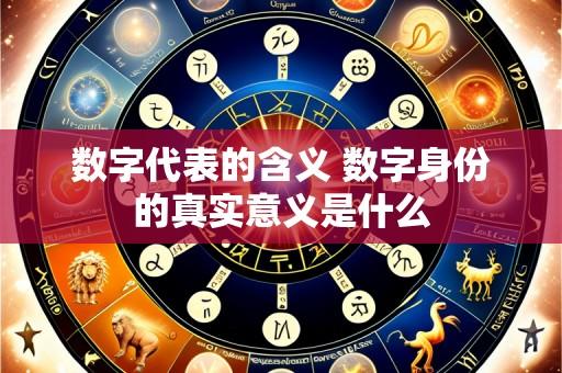 数字代表的含义 数字身份的真实意义是什么