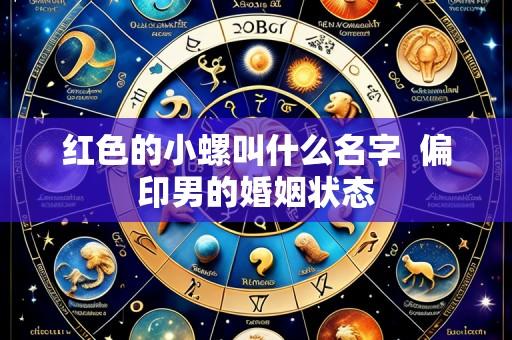 红色的小螺叫什么名字 偏印男的婚姻状态