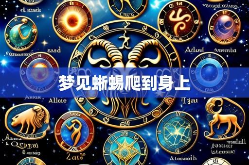 梦见蜥蜴爬到身上