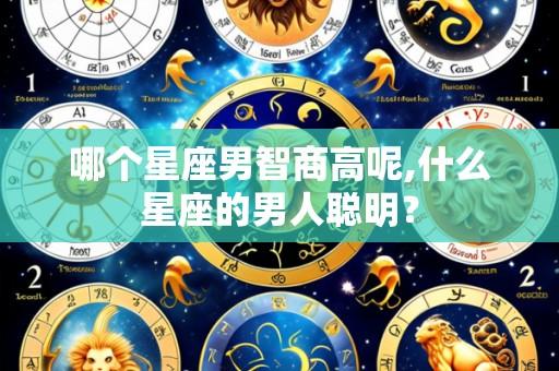 哪个星座男智商高呢,什么星座的男人聪明?