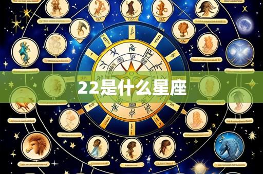 22是什么星座