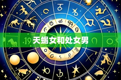 天蝎女和处女男