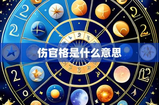 伤官格是什么意思