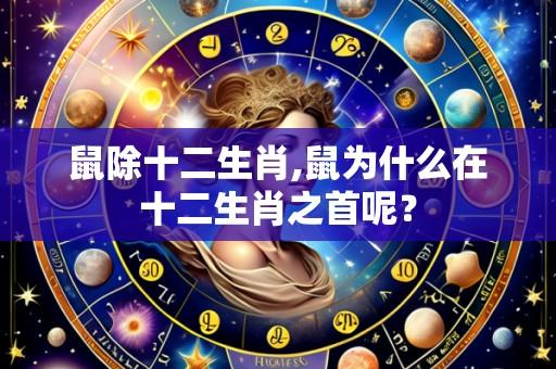 鼠除十二生肖,鼠为什么在十二生肖之首呢？
