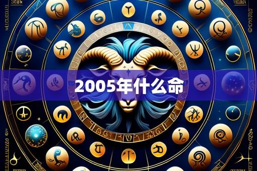 2005年什么命