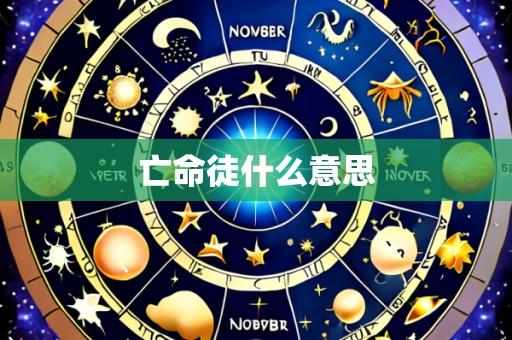 亡命徒什么意思