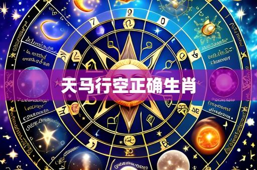 天马行空正确生肖