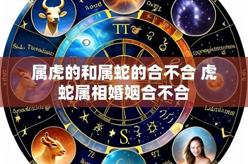 属虎的和属蛇的合不合 虎蛇属相婚姻合不合