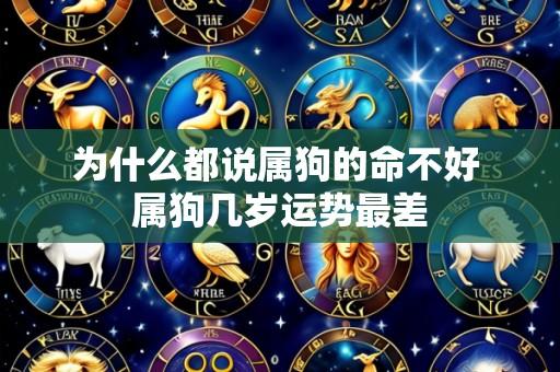 为什么都说属狗的命不好 属狗几岁运势最差