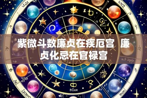 紫微斗数廉贞在疾厄宫  廉贞化忌在官禄宫