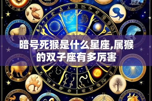暗号死猴是什么星座,属猴的双子座有多厉害