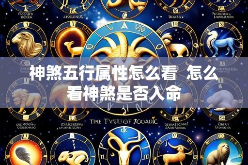 神煞五行属性怎么看 怎么看神煞是否入命