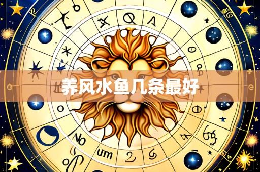 养风水鱼几条最好
