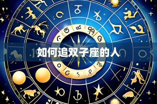 如何追双子座的人