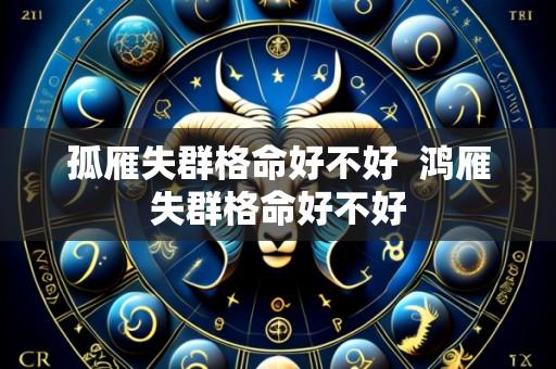 孤雁失群格命好不好 鸿雁失群格命好不好