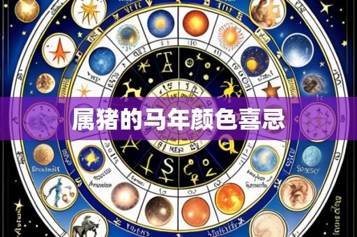 属猪的马年颜色喜忌