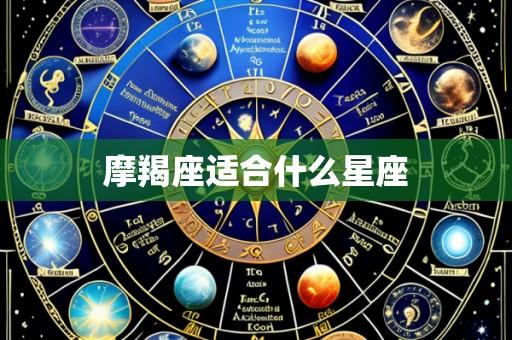 摩羯座适合什么星座