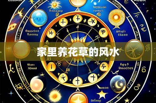 家里养花草的风水