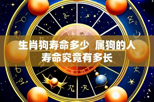 生肖狗寿命多少 属狗的人寿命究竟有多长