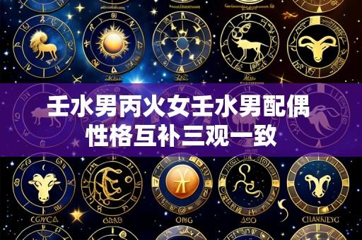 壬水男丙火女壬水男配偶 性格互补三观一致